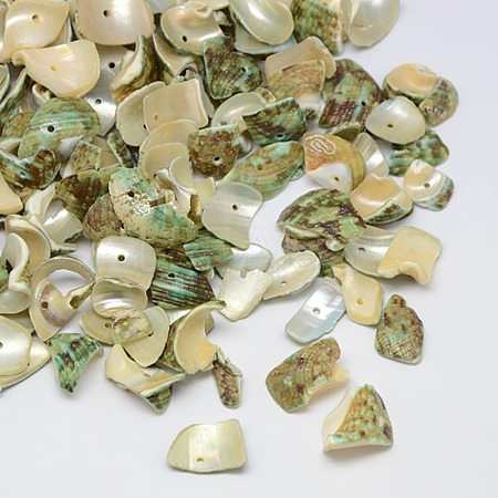 Dyed Natural Spiral Shell Chips Beads SHEL-A003-B04-1