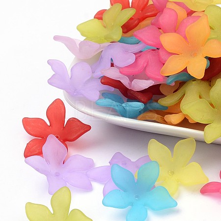 Mixed Frosted Acrylic Flower Beads X-FACR-5335-M-1