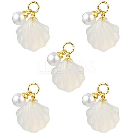 5Pcs Natural Agate Shell Shaped Pendants G-YW0002-43-1