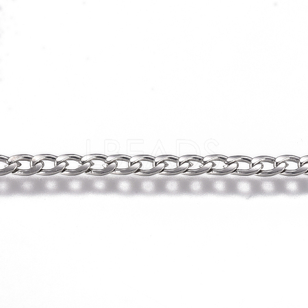 304 Stainless Steel Chain CHS-G017-11P-0.6mm-1