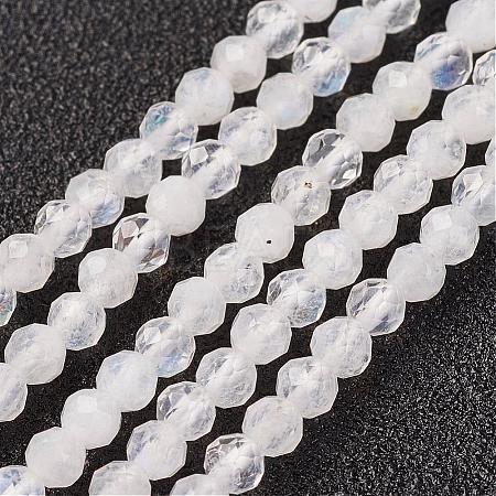 Natural Rainbow Moonstone Bead Strand G-G680-53-1