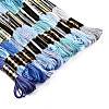 6-Ply Polyester Embroidery Floss OCOR-FZ0001-01P-2