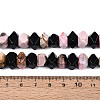 Natural Obsidian & Rhodonite Beads Strands G-N358-01A-04-5