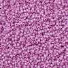 MIYUKI Round Rocailles Beads SEED-X0055-RR0644-3