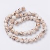 Sea Shell and Synthetic Turquoise Assembled Beads Strands X-G-G758-08-8mm-2