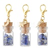 Natural Lapis Lazuli Chips inside Glass Wishing Bottle Pendant Decoration HJEW-JM03307-03-2