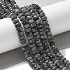 Faceted Natural Labradorite Rondelle Beads Strands G-K090-02-4