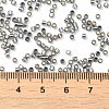 Glass Seed Beads X-SEED-S042-04B-31-4