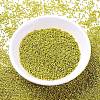 MIYUKI Delica Beads X-SEED-J020-DB1835-2