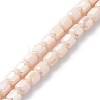 Electroplate Glass Beads Strands EGLA-K015-08B-1