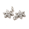 Rack Plating Brass Micro Pave Cubic Zirconia Charms KK-E081-15P-2
