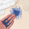 45G about 3000pcs Glass Seed Beads SEED-PA0001-29A-02-3
