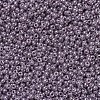 MIYUKI Round Rocailles Beads X-SEED-G007-RR0437-3