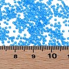 15/0 Transparent Czech Glass Seed Beads SEED-N004-004-02-6