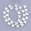 Freshwater Shell Beads X-SHEL-T012-59N-2