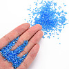 Glass Bugle Beads SEED-S032-10A-163B-5