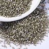 MIYUKI Delica Beads X-SEED-J020-DB1876-1