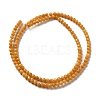 Natural Freshwater Shell Beads Strands SHEL-H003-03E-2