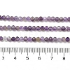 Natural Amethyst Beads Strands G-G189-A01-01-5
