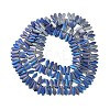 Electroplate Glass Beads Strands EGLA-C005-01A-FR01-2
