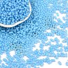 Baking Paint Glass Seed Beads SEED-L011-09A-06-1