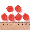 Transparent Frosted Acrylic Pendants MACR-S371-01A-712-4