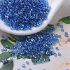 MIYUKI Delica Beads X-SEED-J020-DB0177-1
