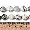 Natural Tree Agate Beads Strands G-D105-A05-5
