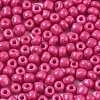 6/0 Glass Seed Beads SEED-S058-A-F421-3