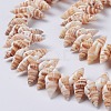 Natural Spiral Shell Beads Strands X-BSHE-I016-08-3