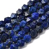 Natural Lapis Lazuli Beads Strands G-Z119-A39-01-3