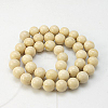 Natural Fossil Beads Strands X-G-E110-12mm-2-2