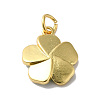 Rack Plating Brass Enamel Charms KK-O142-56G-3