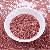 MIYUKI Delica Beads X-SEED-J020-DB0684-3