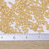 MIYUKI Delica Beads X-SEED-J020-DB0230-4
