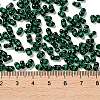 Glass Seed Beads SEED-L011-02A-07-4