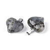 Natural Labradorite Pendants G-N361-01P-02-2