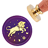 Brass Wax Seal Stamp with Handle AJEW-WH0184-0354-1