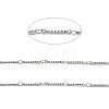 304 Stainless Steel Rectangle Link Chains CHS-G025-12P-2