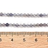 Natural Cordierite/Iolite/Dichroite Beads Strands G-B145-A04-3mm-5