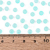 FGB Frosted Transparent Glass Seed Beads SEED-N013-04A-10-4