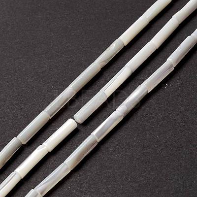 Natural Trochid Shell/Trochus Shell Beads SSHEL-O001-26B-1
