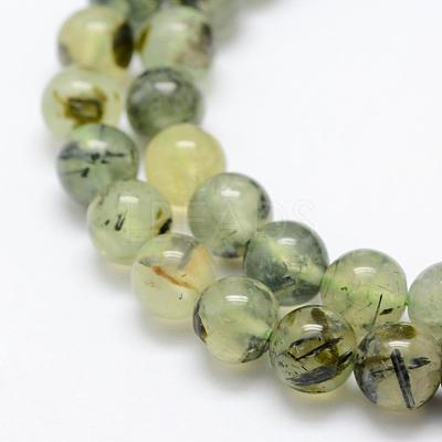 Natural Prehnite Beads Strands G-P322-48-6mm-1