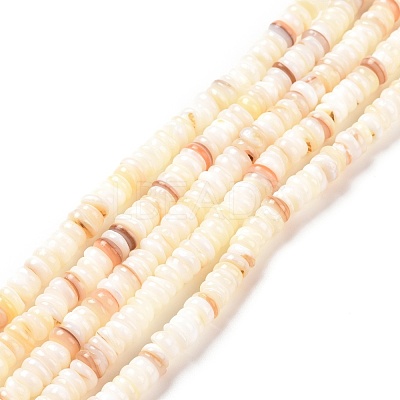 Shell Beads Strands SSHEL-E571-49I-1