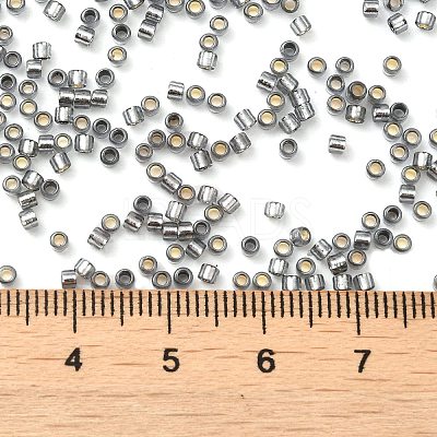 Glass Seed Beads X-SEED-S042-04B-31-1
