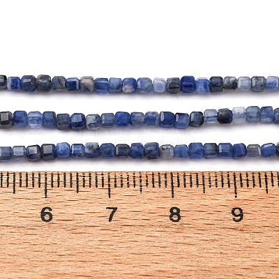 Natural Sodalite Beads Strands G-B142-C02-2x2mm-1