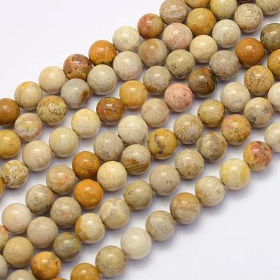 Natural Fossil Coral Beads Strands G-G697-F01-6mm-1