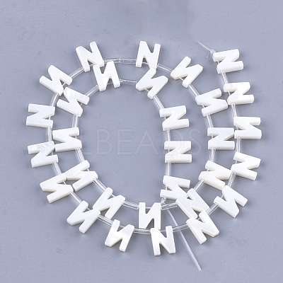 Freshwater Shell Beads X-SHEL-T012-59N-1