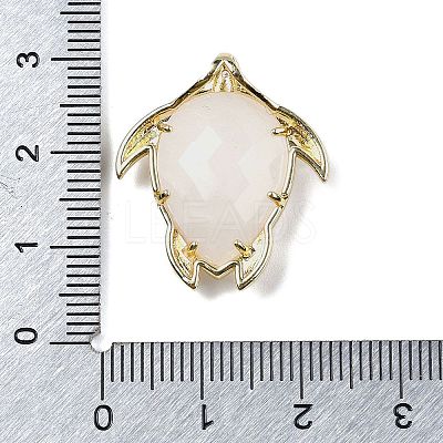 Natural Quartz Crystal Pendants G-U019-02G-01-1