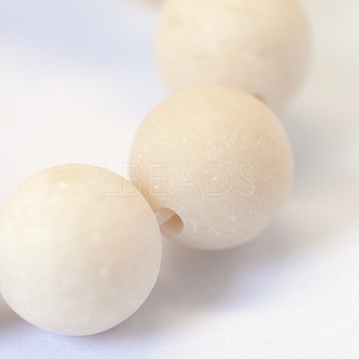 Frosted Natural Fossil Round Bead Strands G-E334-10mm-22-1